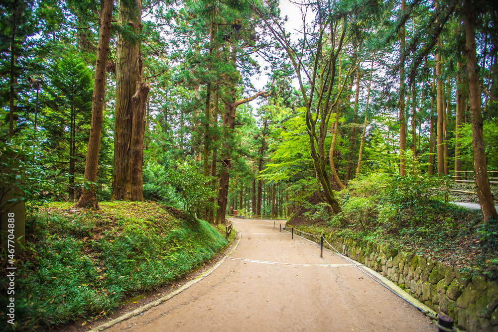 Obraz premium 岩手県 中尊寺の風景