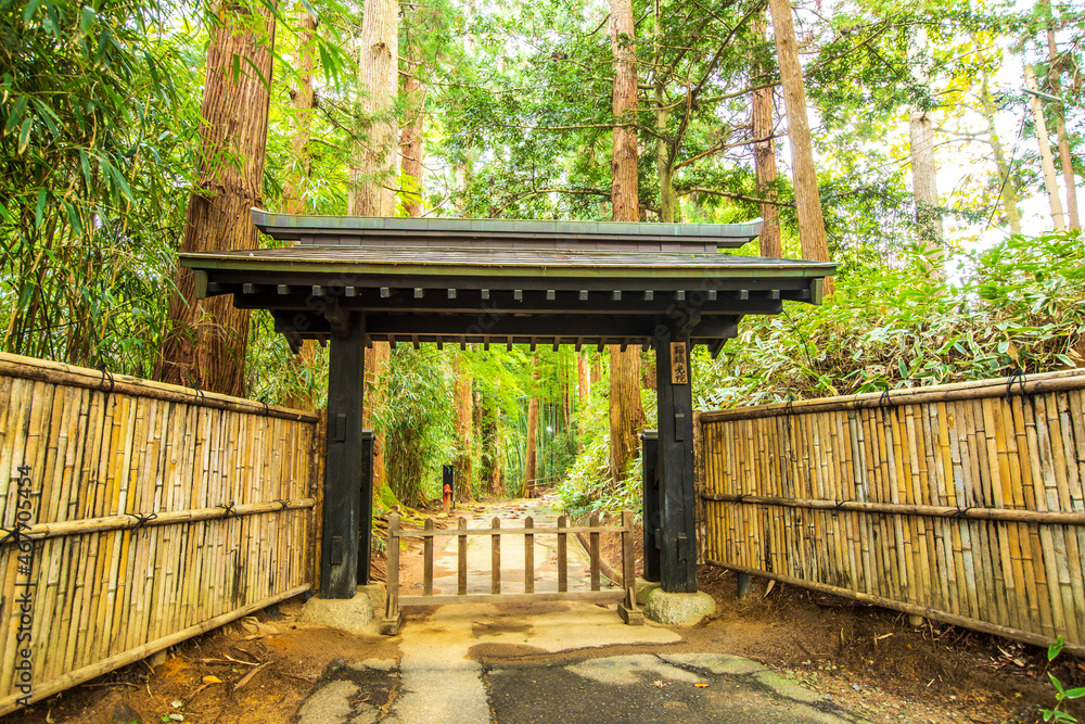 Obraz premium 岩手県 中尊寺の風景