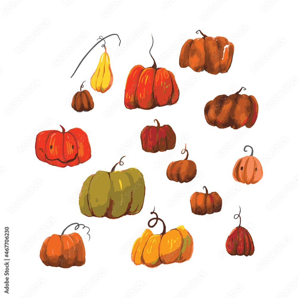 Set of Vector illustrations of hand-drawn pumpkins for the design of posters, books and sites Set of Vector illustrations of hand-drawn pumpkins for the design of posters, books and sites
