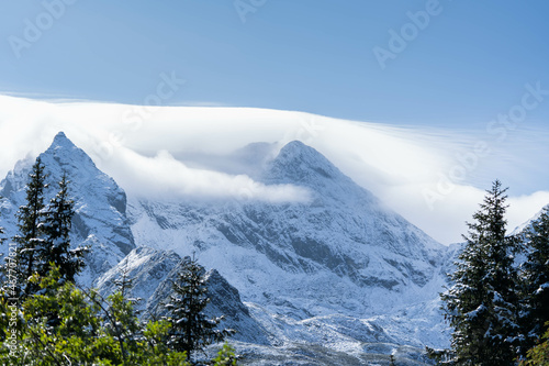 incredibly beautiful peaks of snow-capped mountains, incredible wildlife © Olexandr