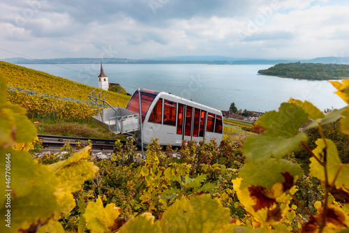 Cable car in the vineyards near the Biel lake photo