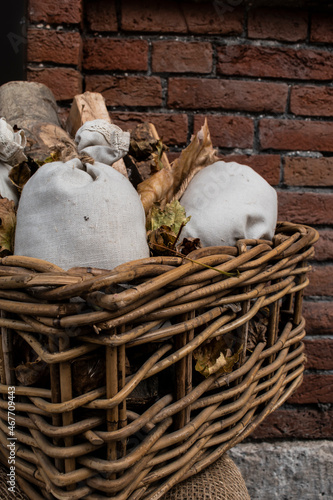 mushrooms in a basket