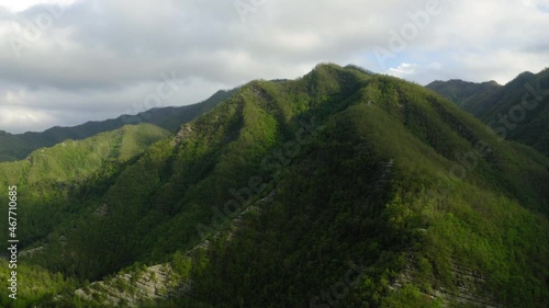 Wallpaper Mural Aerial Scenic View Of Green Natural Mountains, Drone Flying Forward Over Forest - Apennine Mountains, Italy Torontodigital.ca