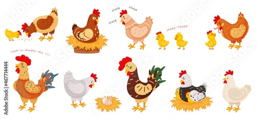 Fototapeta Naklejka Na Ścianę i Meble -  Cartoon funny chickens, hens and roosters, cute chicks. Chicken on nest with eggs, little chick and mother hen, farm bird animals vector set. Parent bird feeding baby with worm, seed