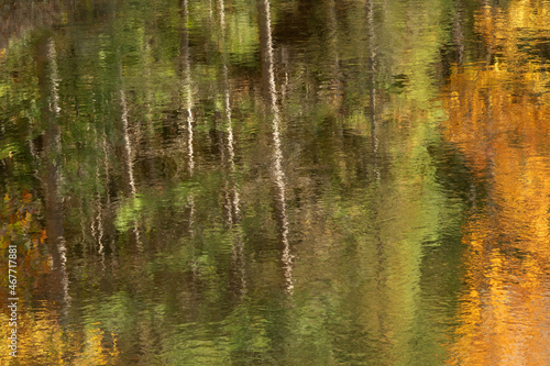 Abstract autumn landscape of reflections in the Indian River, Hiawatha National Forest, Michigan's Upper Peninsula, USA