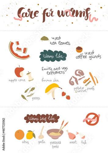 Poster with worms feeding rules: what can and can not be put into the vermicomposter. Illustrated examples with explications. Hand drawn pictures and texts. A4 proportions.