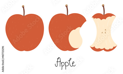 Illustration of an apple, bitten apple, apple core, and hand-drawn text - Apple. Cute flat vector illustration in nice colors. Isolated on white.