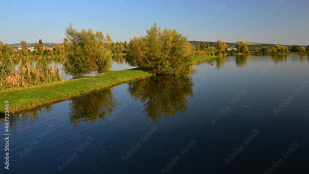 Dividing line of grassland with some shrubs, grass  and wetland plants, located between two large fish ponds, sunbathing in summer afternoon sunshine.  Location Skalica fish ponds, western Slovakia.