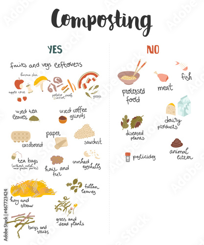 Set of items for composting. All things that can be and can not be composted with hand drawn texts. Flat vector.