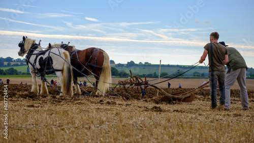 Εκτύπωση καμβά 2021 South Coast Heavy Horse Association Show, Brockbridge, Hampsire