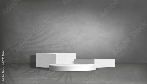 Studio Room with Marble Cylinder Podium and Palm leaves on Gray Cement Wall Texture Background with Light and Shadow on Concrete floor. Vector 3D Gallery room,Backdrop for Product presentation
