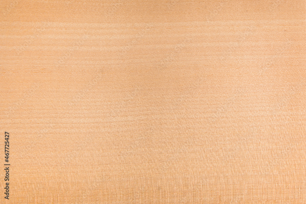 Fototapeta premium Empty wooden panel