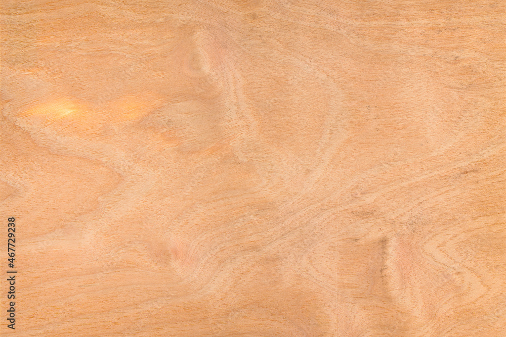 Empty wooden panel Empty wooden panel