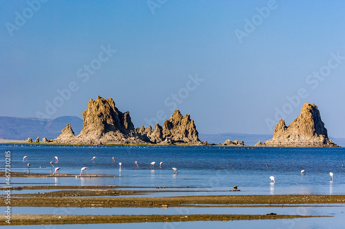 Foto Lake Abbe Djibouti landscape with flamingos