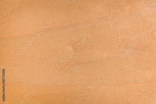 Wallpaper Mural Empty wooden panel Torontodigital.ca