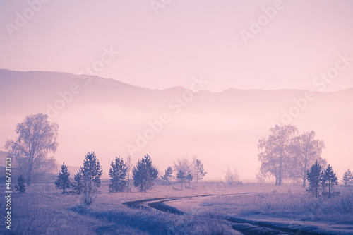 Road in the winter mountains. Trees with hoarfrost in foggy morning at sunrise. Beautiful winter landscape. South Ural, Russia