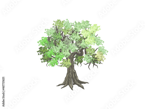 Abstract ancient tree vector illustrations