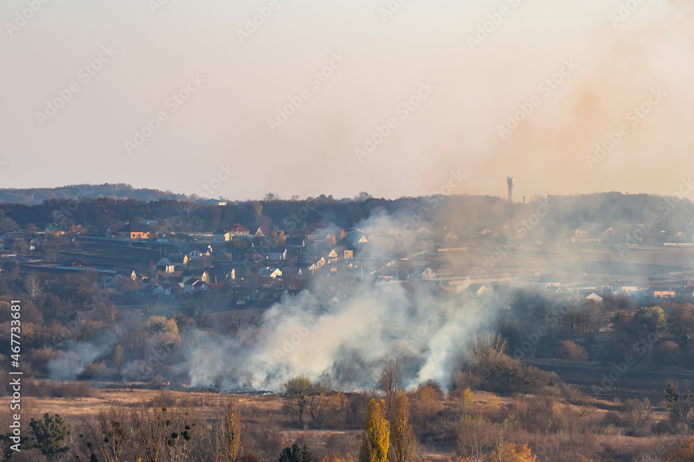 Fototapeta premium Fire of dry grass in a field outside the city