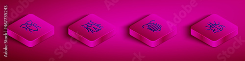 Set Isometric line Cockroach, Beetle bug, Larva insect and Mite icon. Vector
