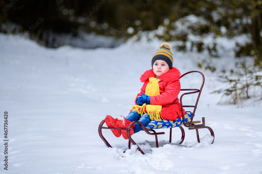 Little girl in bright clothes sitting on a sleigh on a background of winter forest.