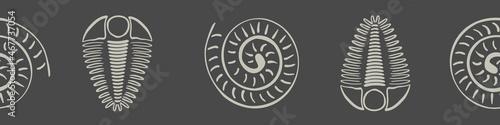 Ammonite trilobite vector seamless border. Hand drawn banner of spiral-form shell cephalopod and arthropod ribbed fossils. Brown off white backdrop.Extinct marine predators. For museum, edging, trim photo