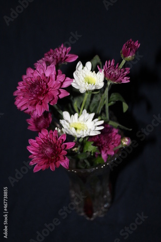 Wallpaper Mural bouquet of chrysanthemums Torontodigital.ca