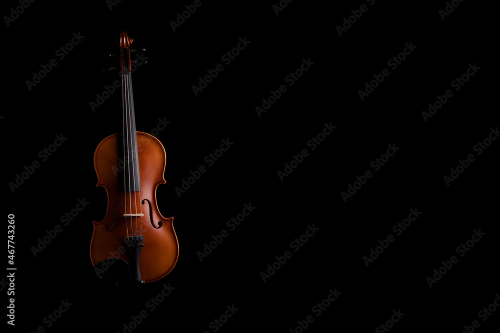 A violin or viola with four strings with a beautiful soft light hitting it on a black background. No.9 A violin or viola with four strings with a beautiful soft light hitting it on a black background. No.9