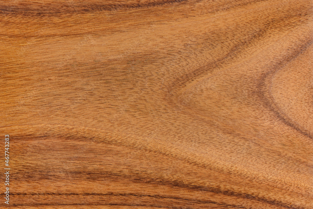 Wooden texture background Wooden texture background