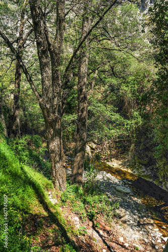 The ancient wine-growing village of Kilani in Troodos is located on the banks of a mountain river. The village is famous for its churches and picturesque surroundings. 