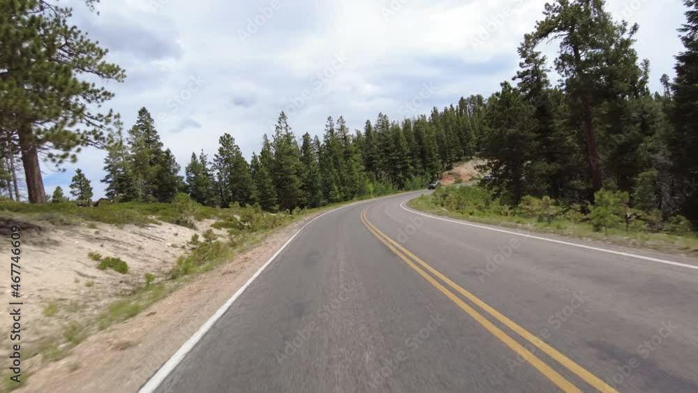Driving Plate Bryce Canyon Scenic Drive Northbound Multicam Set 07 Rear View Forest Utah Southwest USA Driving Plate Bryce Canyon Scenic Drive Northbound Multicam Set 07 Rear View Forest Utah Southwest USA