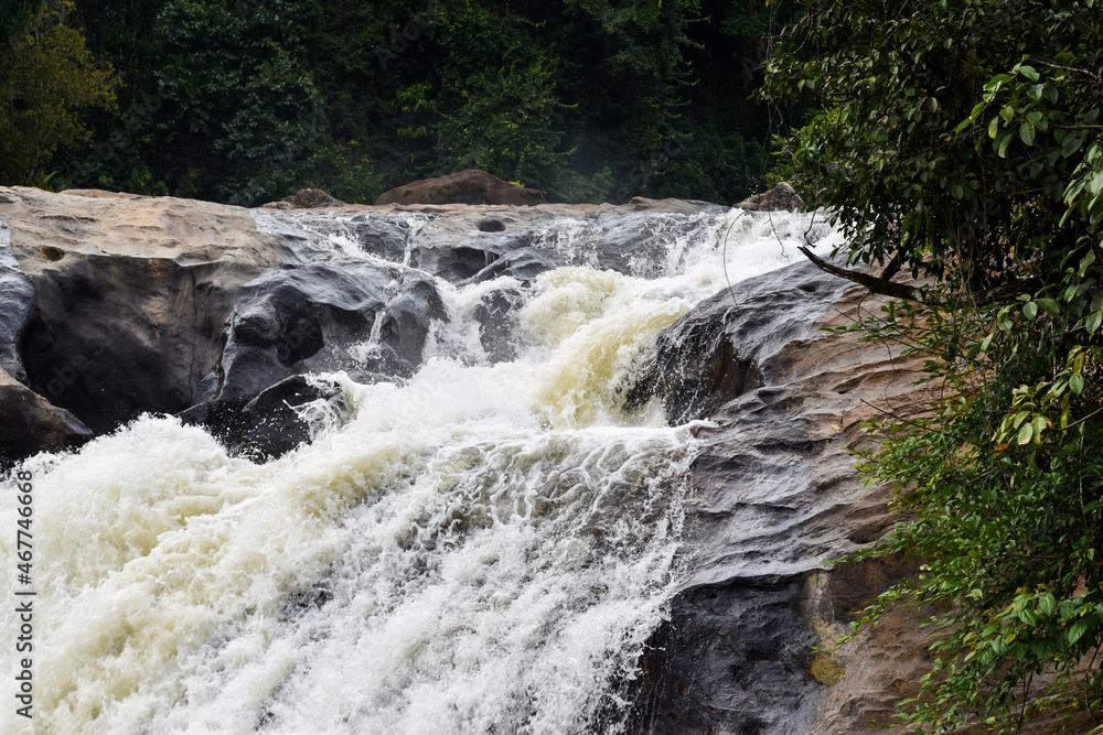 Fototapeta premium waterfall in the forest
