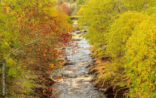 Wain Wath Force in Autumn. A popular visitor attraction in Upper Swaledale, Yorkshire Dales.  Silver Birch trees fwith yellow leaves and Rowan trees bearing red berries.  Horizontal.  Copyspace. photo