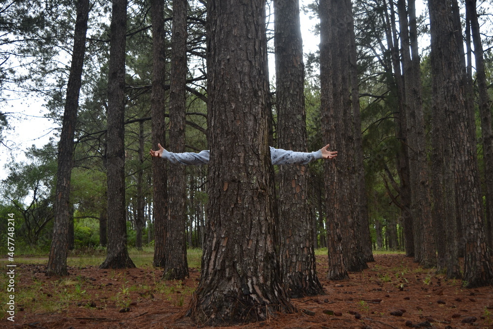 Fototapeta premium Entre Ríos 