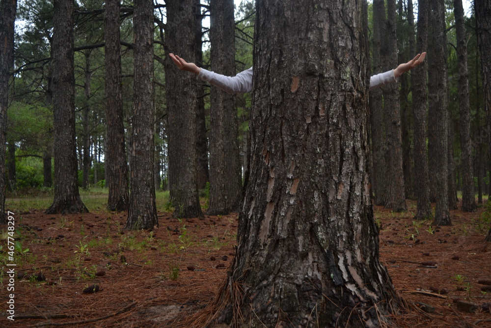 Naklejka premium Entre Ríos