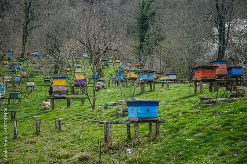 Many wooden bee hives on the lawn
