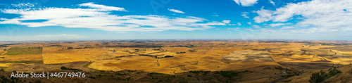 Summer in The Palouse  Washington