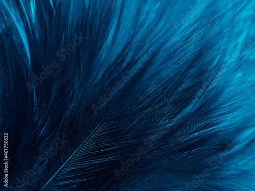 Beautiful abstract blue feathers on black background, black feather texture and blue background, feather wallpaper, blue texture banners, love theme, valentines day, light blue texture, dark gradient © Weerayuth