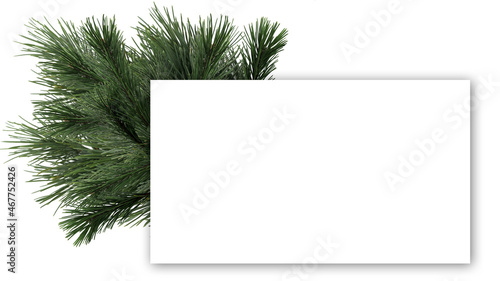 purist blank christmas card with fir branches