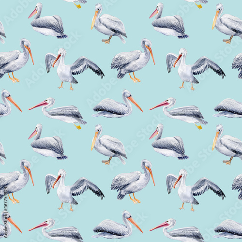 Seamless pattern with pelicans on a blue background, watercolor illustrations, paper design, birds.