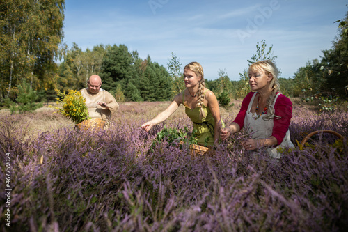 Two girls are picking heather flowers in a forest clearing.