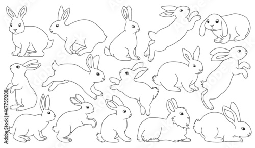 Rabbit vector outline set icon. Isolated outline set icon animal.Vector illustration rabbit on white background.