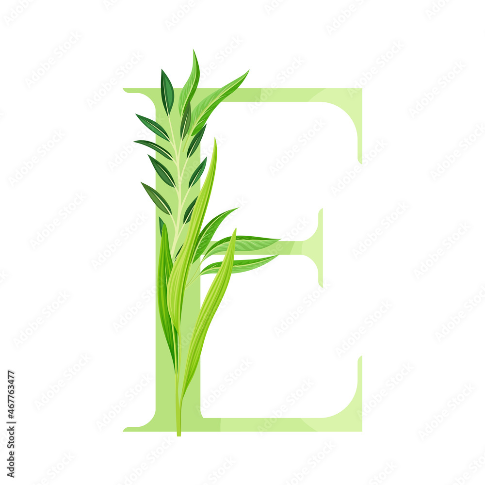 Naklejka premium Alphabet Letter E Decorated with Green Foliage and Leaf Vector Illustration