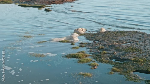 View of foam on water of Kara sea. Place of rookery on Yamal Peninsula.