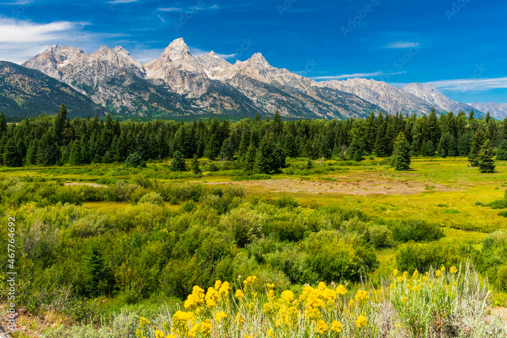 Fototapeta premium Grand Teton National Park, Wyoming