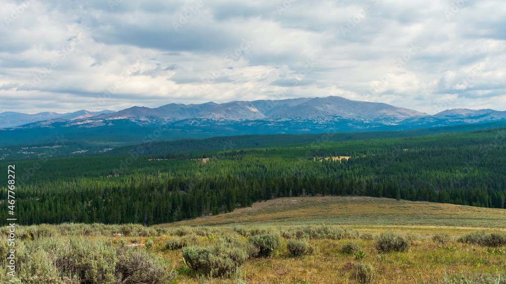 Obraz premium Bighorn National Forest, Wyoming, USA