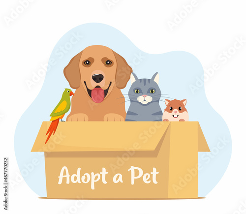 Adopt a pet. Cute homeless puppy, kitten, hamster, parrot inside a cardboard box are waiting for the adoption. Vector illustration for animal shelter poster.