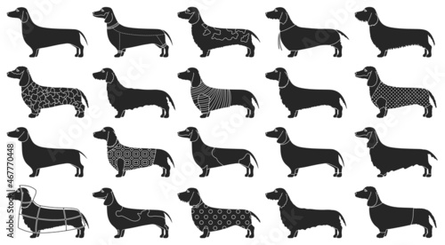 Dachshund isolated black set icon. Vector illustration dog on white background. Vector black set icon dachshund.