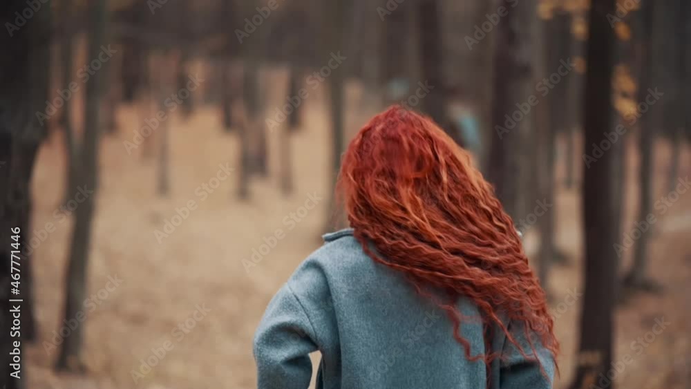 Happy Young Red-haired Woman Having Fun Walking in Autumn Park Looking Back at Camera. Rear View, Tracking Camera. Happy Young Red-haired Woman Having Fun Walking in Autumn Park Looking Back at Camera. Rear View, Tracking Camera.