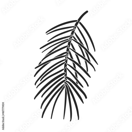 Twig pine isolated black icon. Vector illustration spruce twig pine on white background. Vector black illustration icon tree conifer.