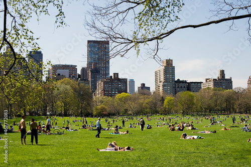 people in the park